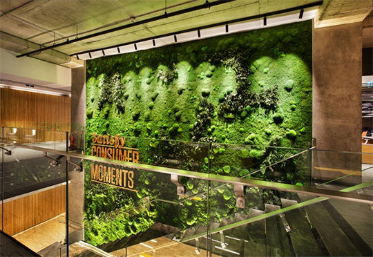 个性化办公室植物墙设计